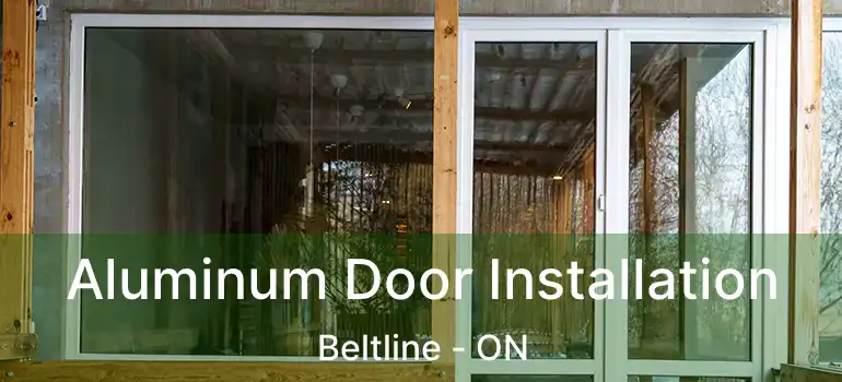 Aluminum Door Installation Beltline - ON