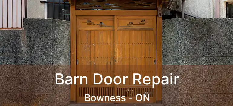 Barn Door Repair Bowness - ON