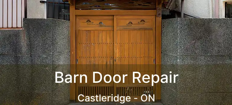 Barn Door Repair Castleridge - ON