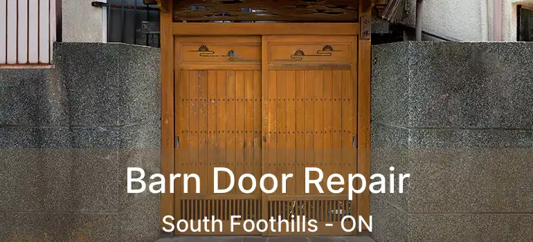 Barn Door Repair South Foothills - ON