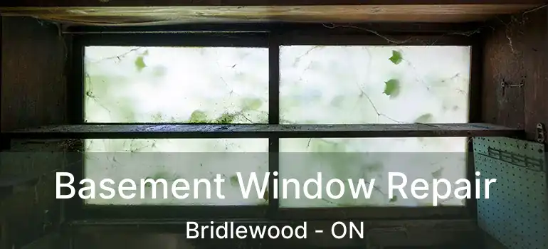 Basement Window Repair Bridlewood - ON