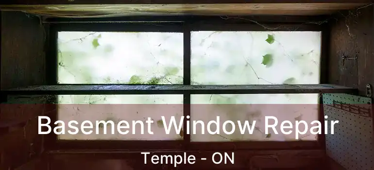 Basement Window Repair Temple - ON
