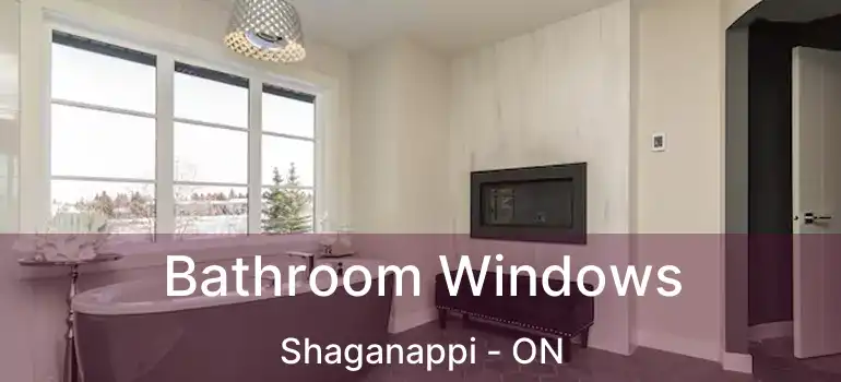 Bathroom Windows Shaganappi - ON