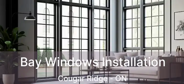 Bay Windows Installation Cougar Ridge - ON