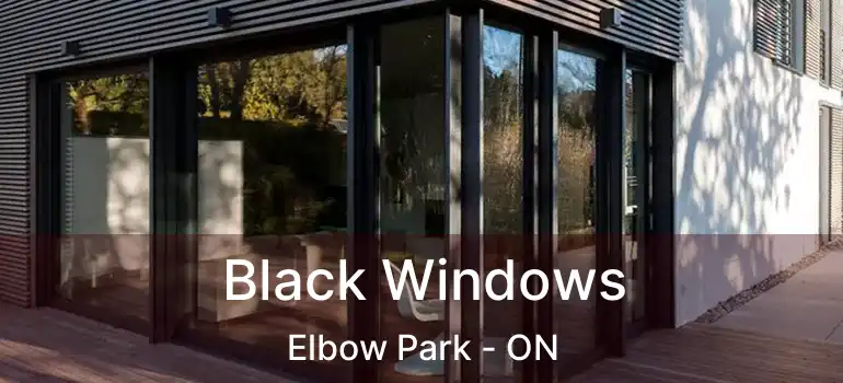 Black Windows Elbow Park - ON