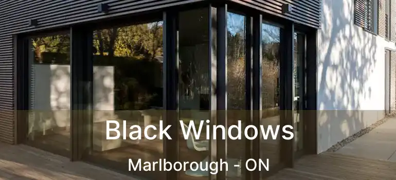 Black Windows Marlborough - ON