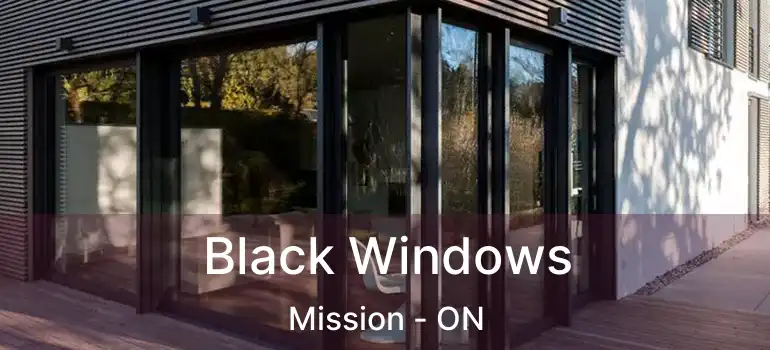 Black Windows Mission - ON