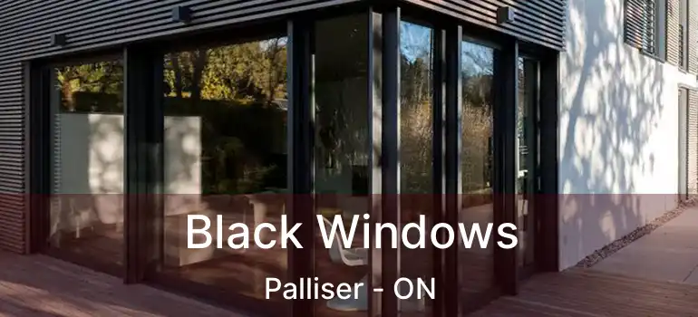 Black Windows Palliser - ON