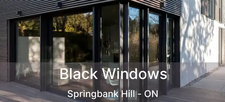 Black Windows Springbank Hill - ON