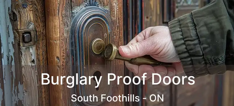 Burglary Proof Doors South Foothills - ON