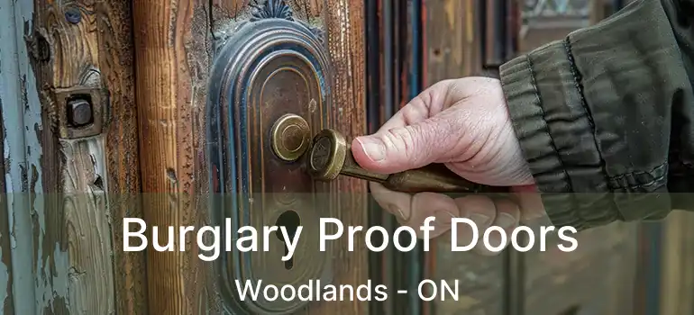Burglary Proof Doors Woodlands - ON