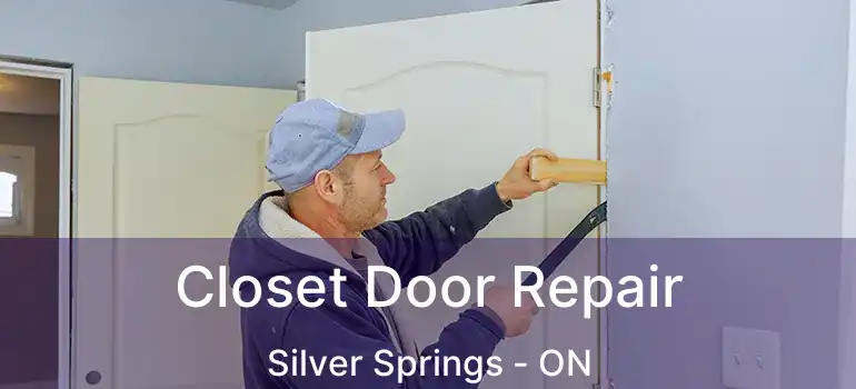 Closet Door Repair Silver Springs - ON