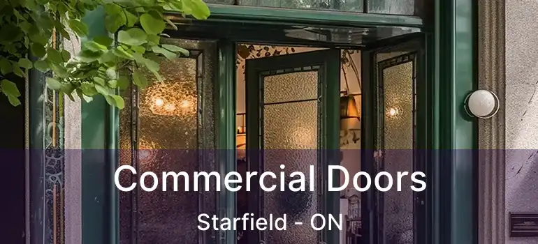 Commercial Doors Starfield - ON