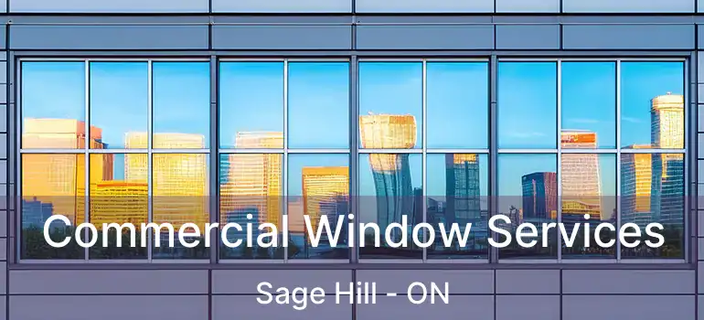 Commercial Window Services Sage Hill - ON