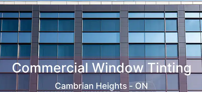 Commercial Window Tinting Cambrian Heights - ON