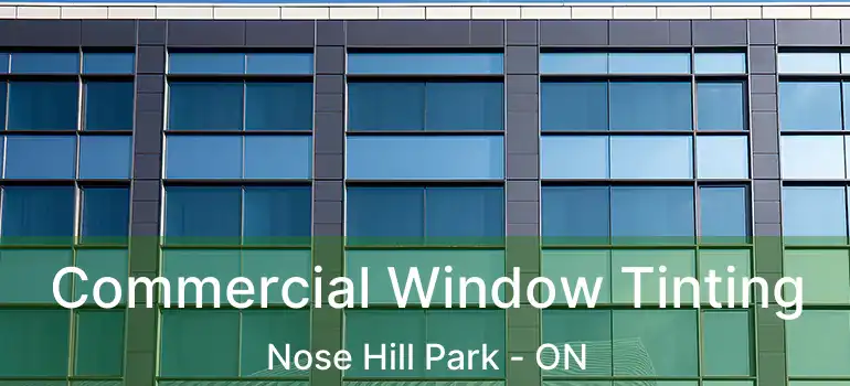Commercial Window Tinting Nose Hill Park - ON