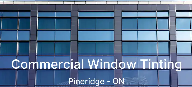 Commercial Window Tinting Pineridge - ON