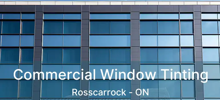 Commercial Window Tinting Rosscarrock - ON