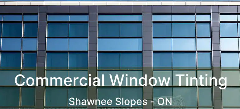 Commercial Window Tinting Shawnee Slopes - ON