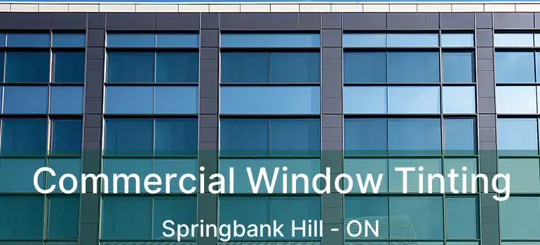 Commercial Window Tinting Springbank Hill - ON