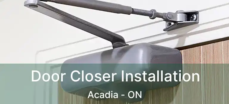 Door Closer Installation Acadia - ON