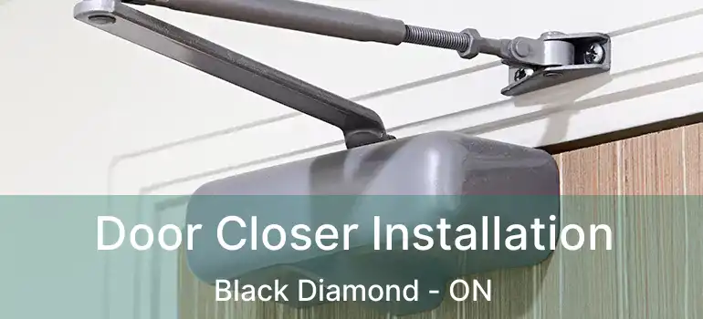 Door Closer Installation Black Diamond - ON