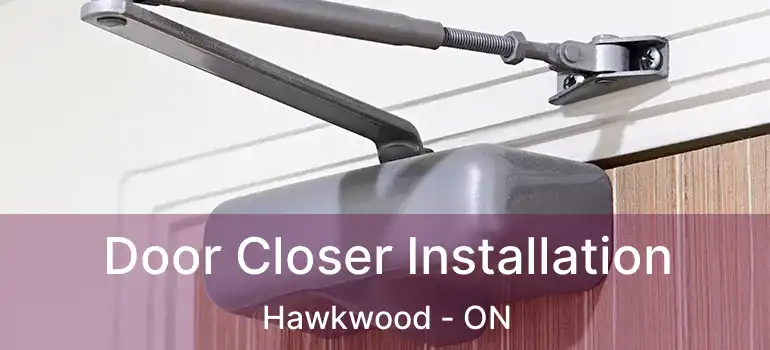 Door Closer Installation Hawkwood - ON