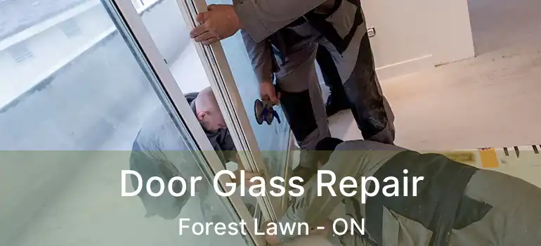 Door Glass Repair Forest Lawn - ON