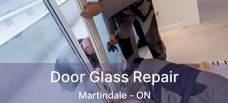 Door Glass Repair Martindale - ON