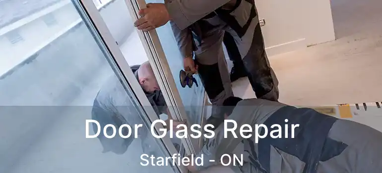 Door Glass Repair Starfield - ON