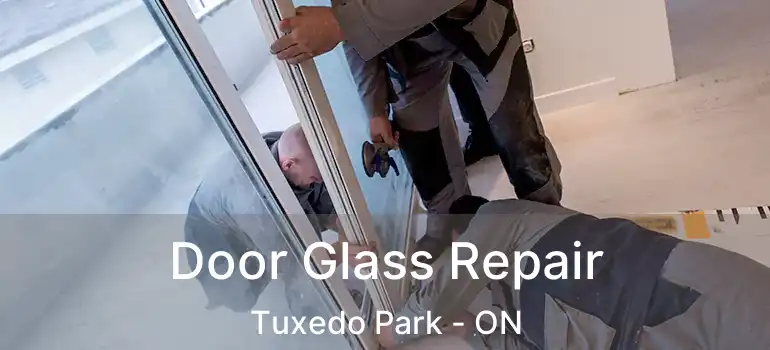 Door Glass Repair Tuxedo Park - ON