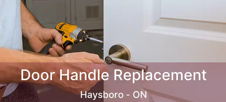 Door Handle Replacement Haysboro - ON
