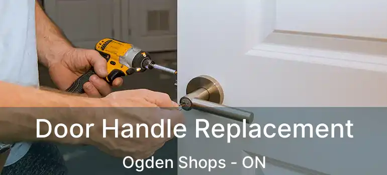 Door Handle Replacement Ogden Shops - ON
