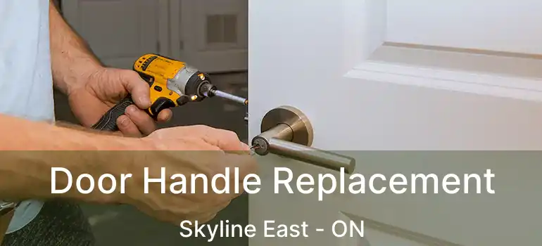 Door Handle Replacement Skyline East - ON