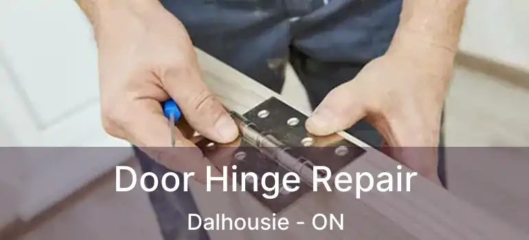 Door Hinge Repair Dalhousie - ON