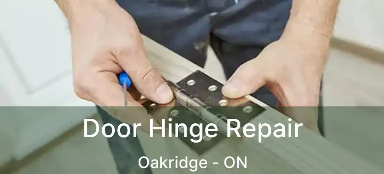 Door Hinge Repair Oakridge - ON
