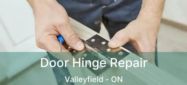 Door Hinge Repair Valleyfield - ON