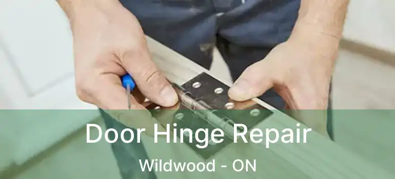 Door Hinge Repair Wildwood - ON