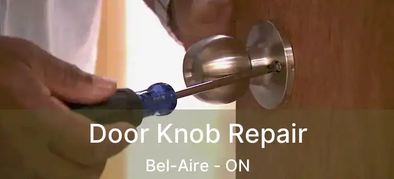 Door Knob Repair Bel-Aire - ON