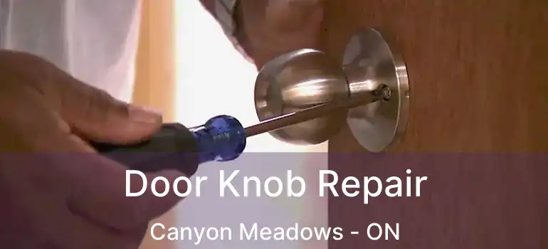 Door Knob Repair Canyon Meadows - ON