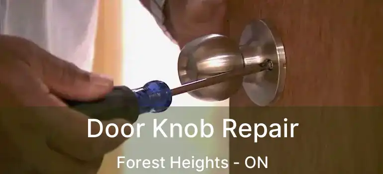 Door Knob Repair Forest Heights - ON