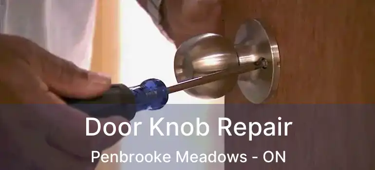 Door Knob Repair Penbrooke Meadows - ON
