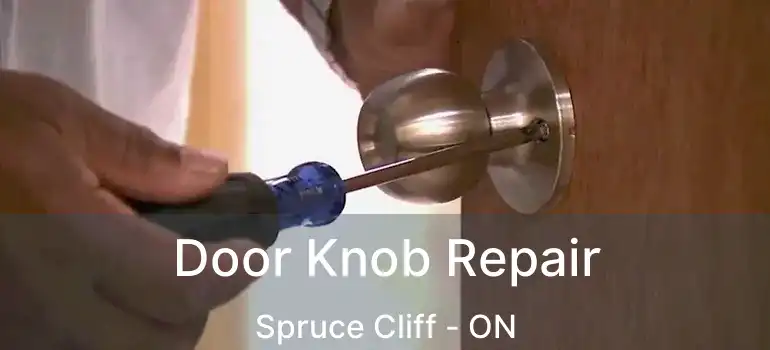 Door Knob Repair Spruce Cliff - ON