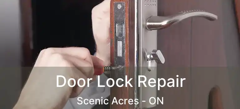Door Lock Repair Scenic Acres - ON