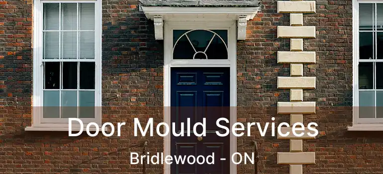 Door Mould Services Bridlewood - ON