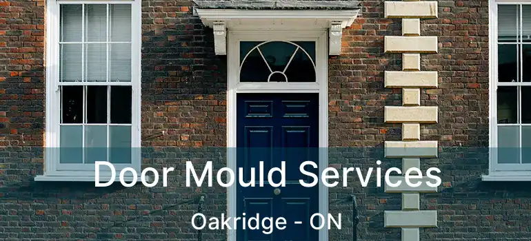 Door Mould Services Oakridge - ON