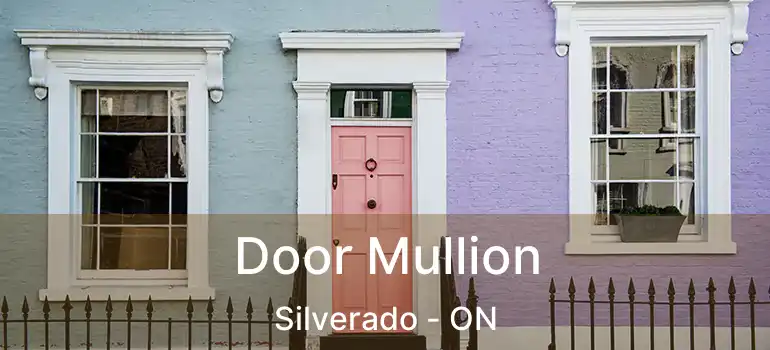 Door Mullion Silverado - ON