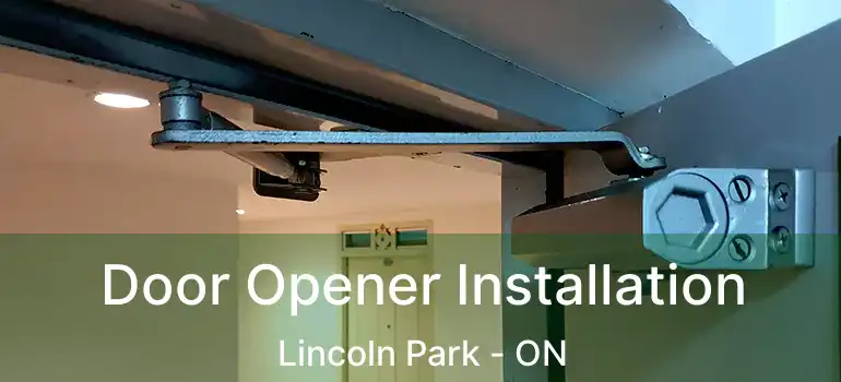 Door Opener Installation Lincoln Park - ON