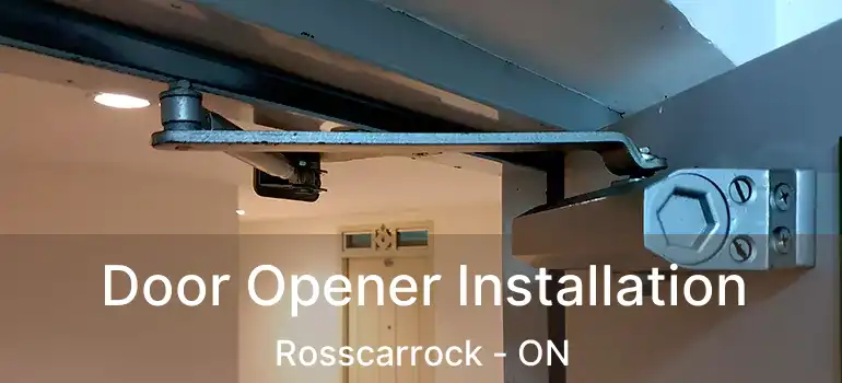 Door Opener Installation Rosscarrock - ON