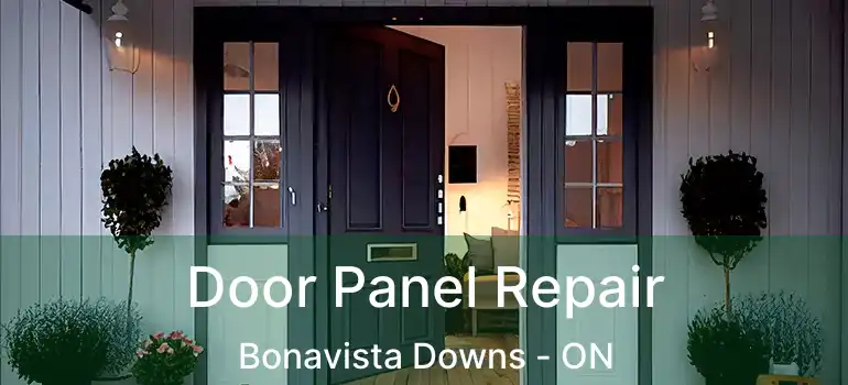 Door Panel Repair Bonavista Downs - ON
